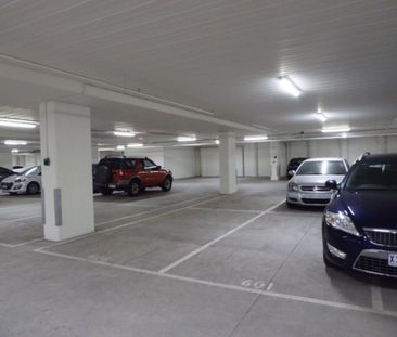 Massive 1 Bedroom Apartment with Expansive Views - Photo 3