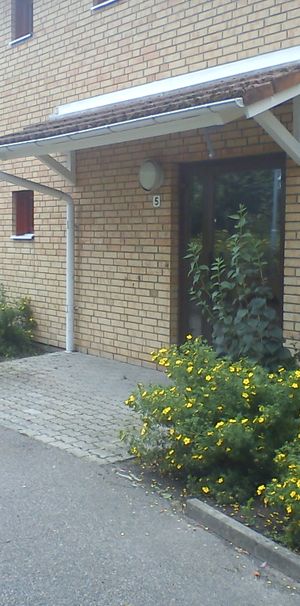 Room for Girl - Photo 1