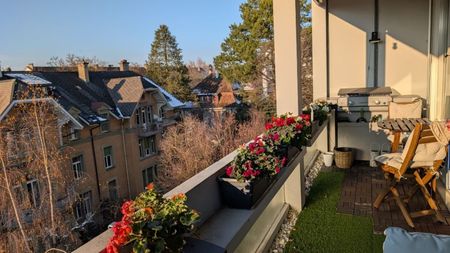 APPARTEMENT 31/2 PIÈCES À BERNE - BREITENRAIN, MEUBLÉ, TEMPORAIRE - Foto 5