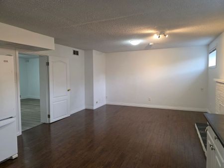 BSMT LEVEL OF GREAT HOUSE IN COQUITLAM (UTILITIES INCLUDED) - Photo 3