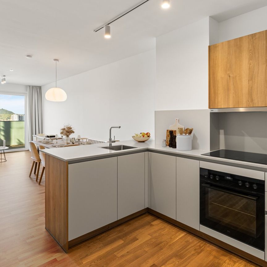 Die „Grüne Mitte“ Wiens: Wohnen mit Verantwortung - Photo 1