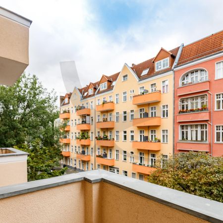 Living at the Park - Photo 5