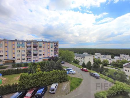 Bydgoszcz Osowa Góra, ul. Wielorybia - Photo 2