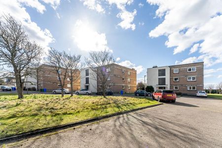 3 bedroom flat to rent - Photo 5