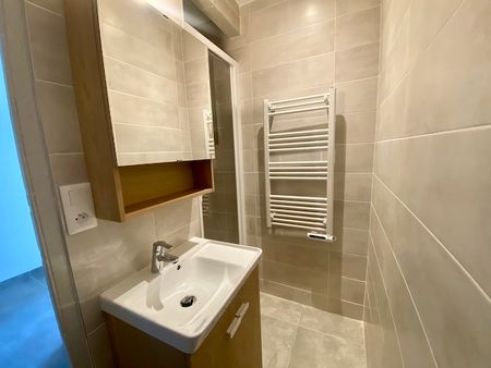 Location Appartement 1 pièce 44m² - Photo 3