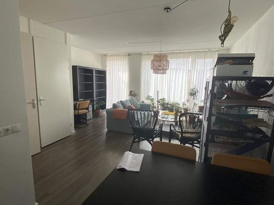 Maison familiale Pastoor van Leeuwenstraat 24, Helmond - À louer - Foto 1