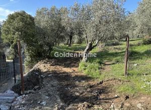Μονοκατοικία για ενοικίαση - Μηλιές, - Photo 5