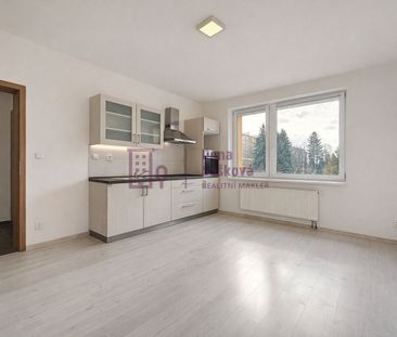 Pronájem bytu 1+kk 23 m² - Photo 2