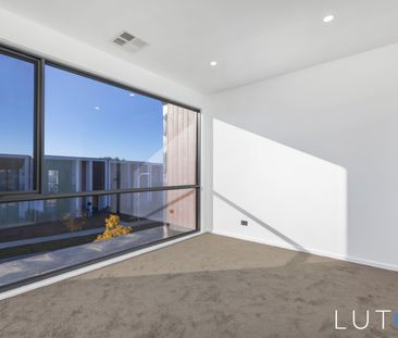 7 Cygnet Crescent, Red Hill ACT 2603 - House For Rent | Domain - Photo 4