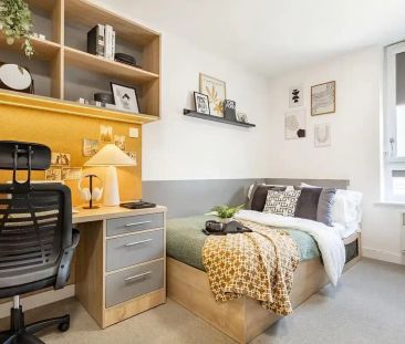 Premium Plus Studio - Photo 6