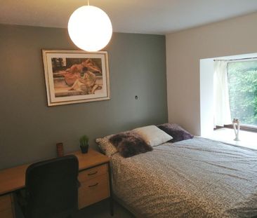 6 Bed End Terrace, Renelagh Gardens, SO15 - Photo 3