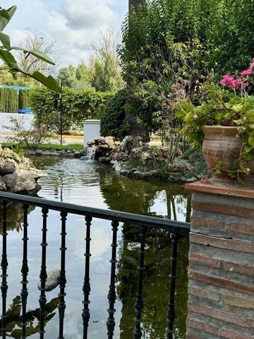 Luxury Flat for rent in Estepona, Spain - Photo 3