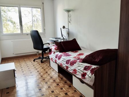 Superb Apartment for rent, Rue Giovanni-Gambini (Geneva, Switzerland) - Photo 3