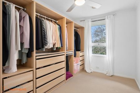 19 Lutana Street, Lyons ACT 2606 - House For Rent | Domain - Photo 3