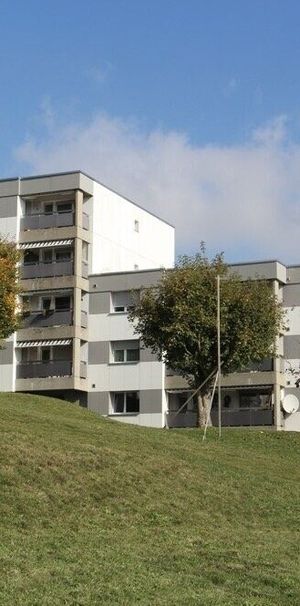 Grand 4½ pièces à deux pas des transports et centres commerciaux - Photo 2