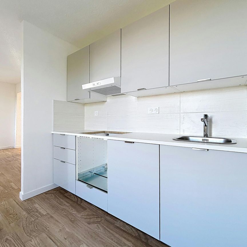 Ambérieu-en-Bugey : Sans vis-à-vis T3 entièrement rénové - Photo 1