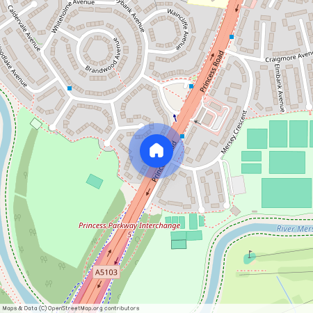 Princess Road, M21 7PX, Manchester