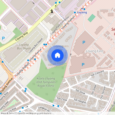 210 Loyang Avenue (509063), Singapore
