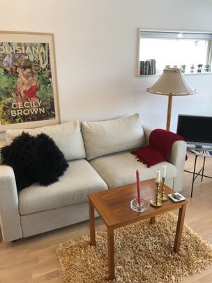 Svanbergsgatan - Photo 1