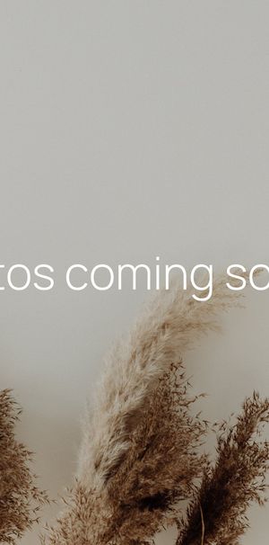 4 Toona Way, South Grafton NSW 2460 - House For Rent | Domain - Photo 2