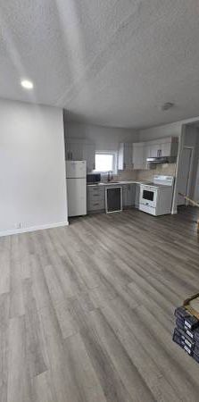 2 bedroom + 1 bathroom + den + basement - Photo 1