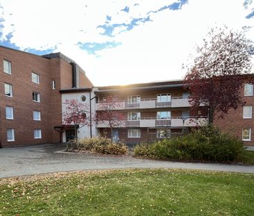 Familjegränd, Skellefteå - Foto 6