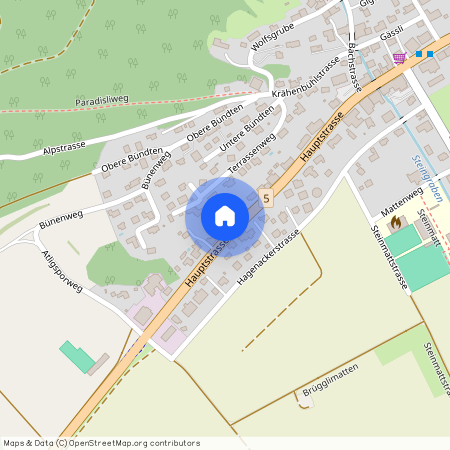 Hauptstrasse 60, 4625 Oberbuchsiten