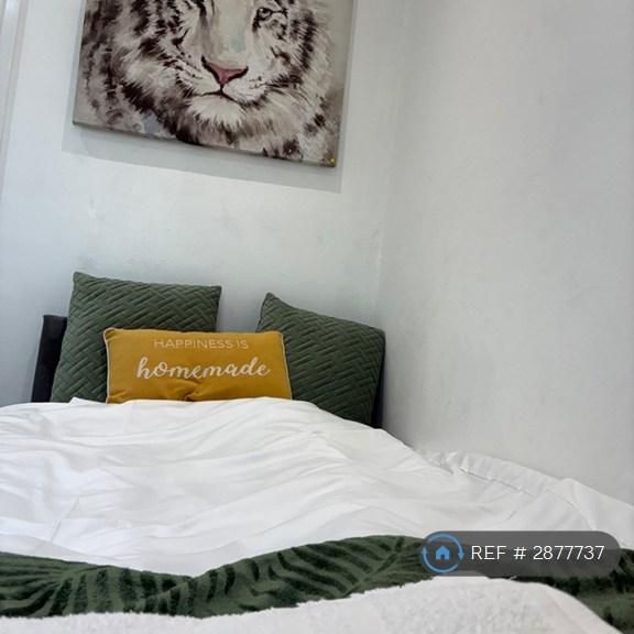 4 bedroom semi-detached house to rent - Photo 1