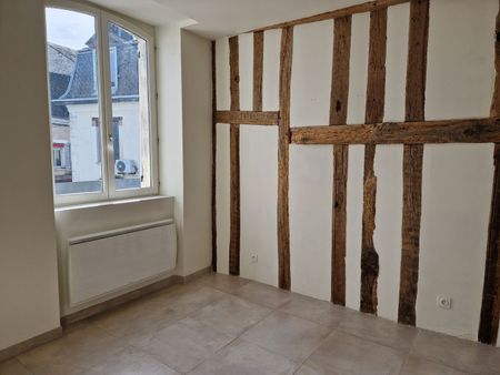 MONTARGIS CENTRE VILLE AVEC TERRASSE - Photo 2