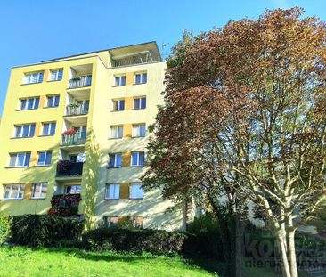 Zadbane mieszkanie 3-pok. z balkonem do wynajęcia - Zdjęcie 6