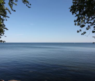 For Lease - 2101 Marine Drive, Oakville, Ontario - Photo 3