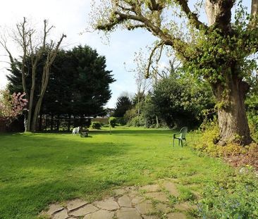 Studio to rent - Photo 6