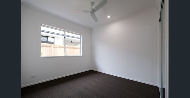 Stunning Hamptons Home with Solar! - Photo 1