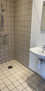 Dejlig 1-værelses lejemål i Ringe - Foto 3