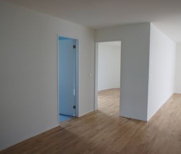 3 ½ Zimmer-Wohnung in Winterthur mieten - Photo 6