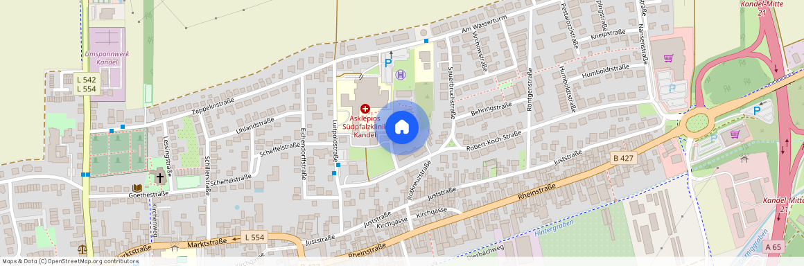 Louis-Pasteur-Straße 1C, 76870, Kandel