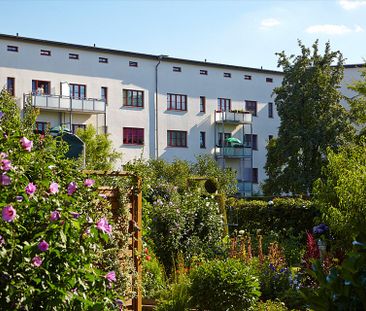 Schön hier! - Photo 1