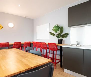 T1 24m² rdj single - Photo 1