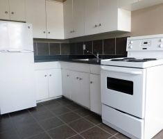 Mateo Place - Photo 6