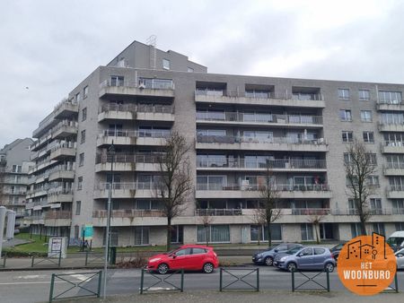 Appartement met 1 slpk, terras, kelder en autostaanplaats - Photo 3