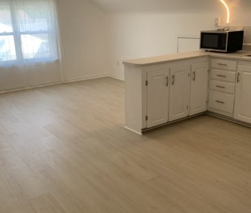 38 Celtic Drive – CHARMING, SUNNY 1 BR 1 BATH UPPER FLAT AVAILABLE ... - Photo 3