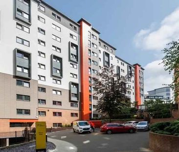 Double Wheelchair Accessible Studio - Photo 2