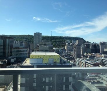 Appartement à louer - Montréal (Ville-Marie) (Mille Carré Doré) - Photo 5
