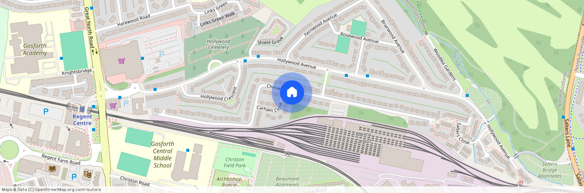 Cheswick Drive, Newcastle upon Tyne NE3