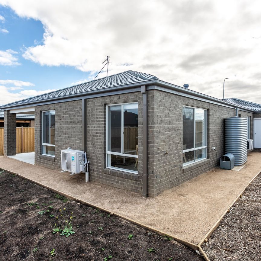 Room 2/3 Linkage Street, Bonshaw - Photo 1