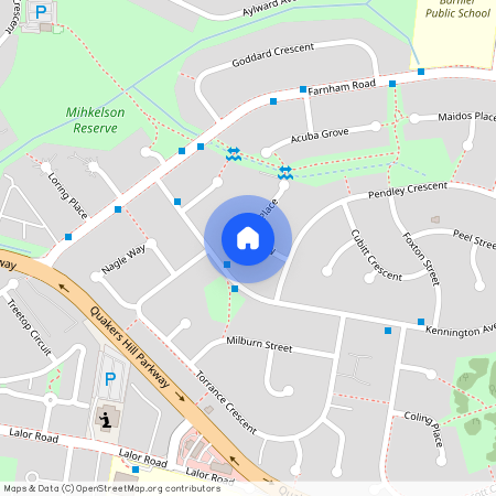 7 Medwin Place, Quakers Hill NSW 2763