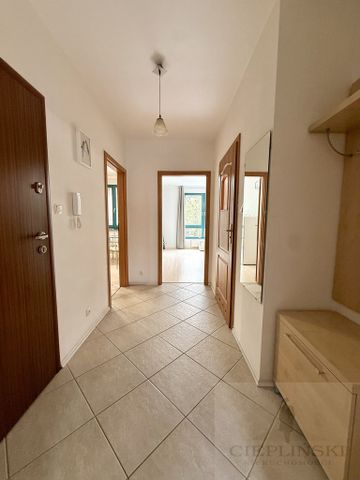 WYNAJEM 2 pok z balkonem Stare Miasto - Zdjęcie 5