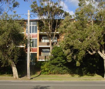 3/199 Darby Street COOKS HILL NSW 2300 - Photo 1