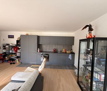 2.5 Zimmer, 53 m², 2. Stock - Photo 3