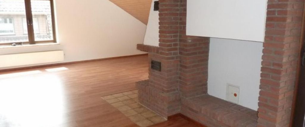 Peine/City-Lage - gepflegte 3 -Zimmerwohnung, Kamin und Dachterrasse - Foto 1